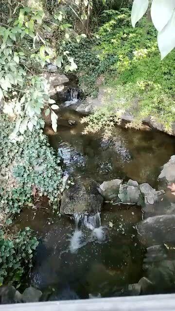 机甲英豪D