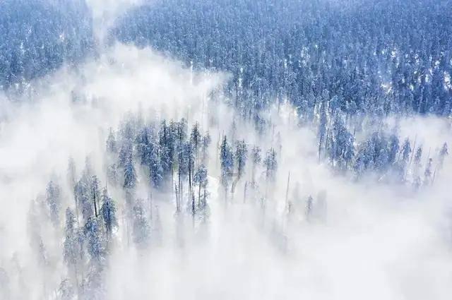 走进山东卫视纪录片《武梁祠》,一同探寻镌刻在石头上的华夏史